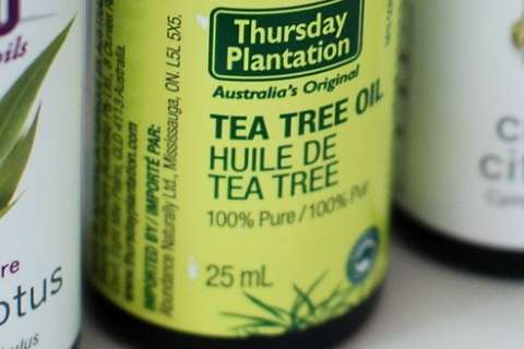 Tree Tea Oil Alami 100 Persen Asli Ampuh Atasi Jerawat
