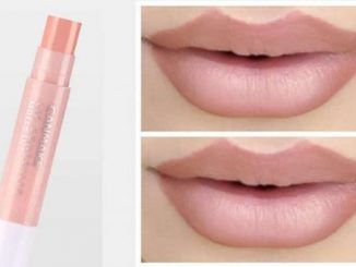 IDA Laboratories Canmake Lip Concealer Moist Baby Pink